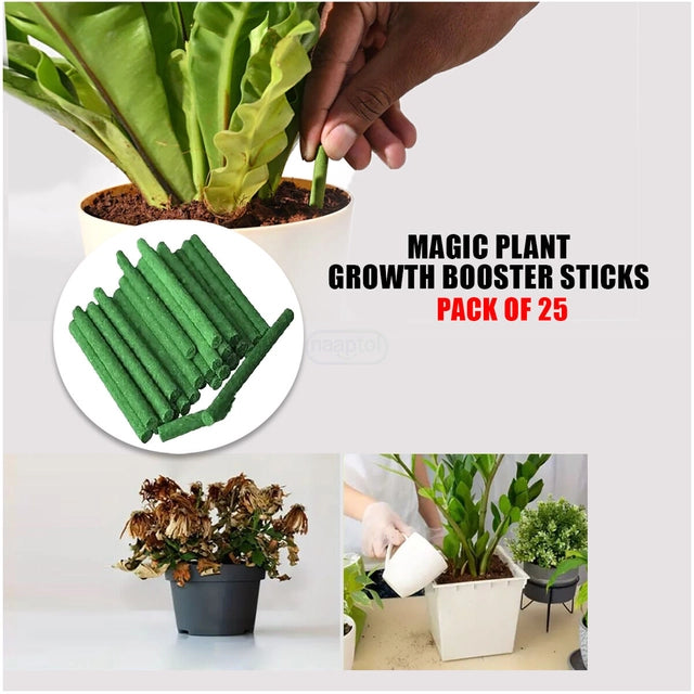 Plant Sticks Green Fertilizer Sticks 50pcs (Pack of 2)